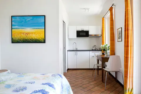 Il barbecue in pietra pronto per l'uso, vicino al giardino